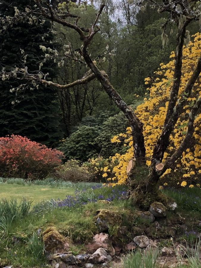 The Grand Gathering Villa Taynuilt Exterior foto